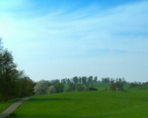 Spring Panorama